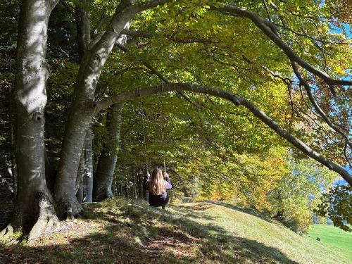 entspannt durch die Natur entspannt durch die Natur