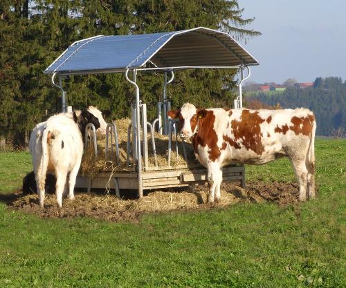 Unsere Futterstation im Freien