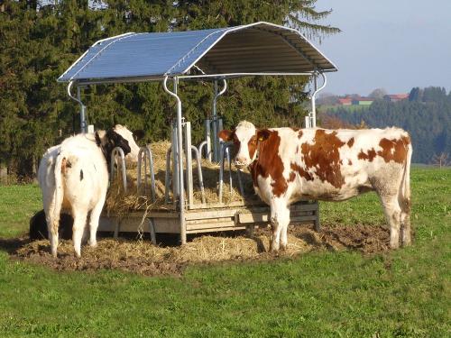 Unsere Futterstation im Freien