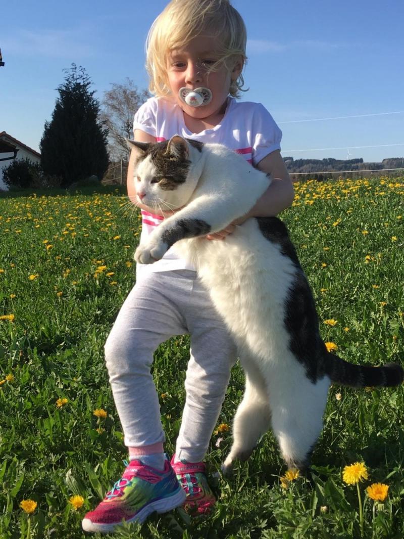 Unsere XXL-Katzen Unsere XXL-Katzen