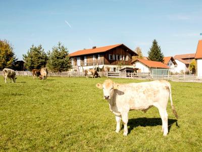 Ferienwohnung_080 1