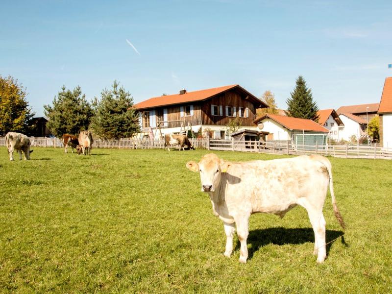 Ferienwohnung_080 1