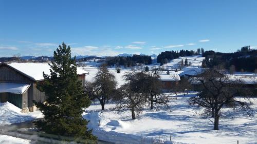 winter