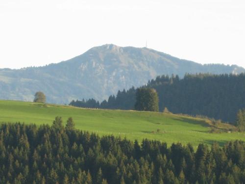 Grüntenblick