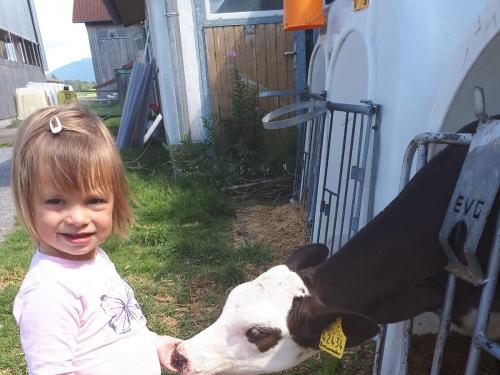 Streicheleinheit für die Kälber