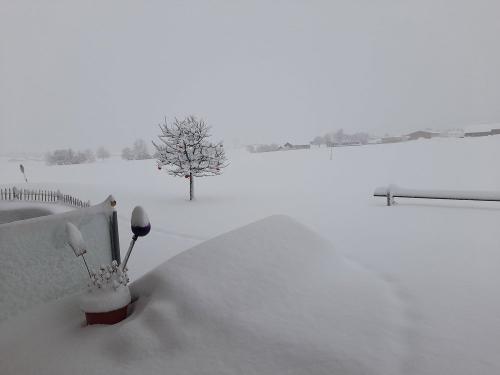 das war noch ein Winter