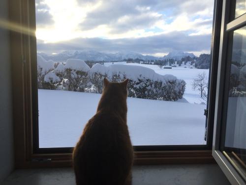 Aussicht