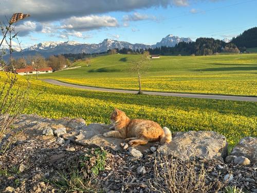 Aussicht