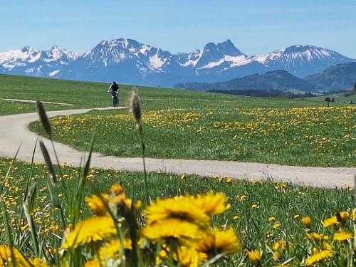 die Weite genießen die Weite genießen