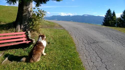 Welch ein Ausblick