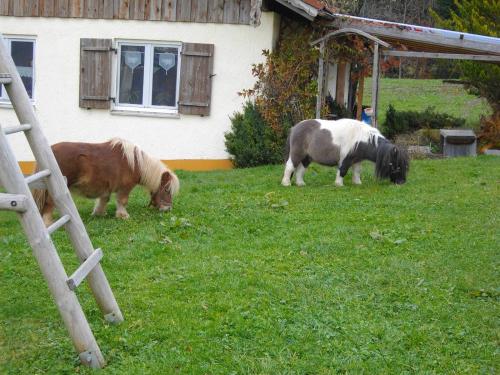 Tony und Rianne