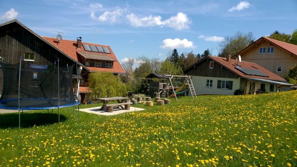 Bei uns, wenn der Löwenzahn blüht Bei uns, wenn der Löwenzahn blüht