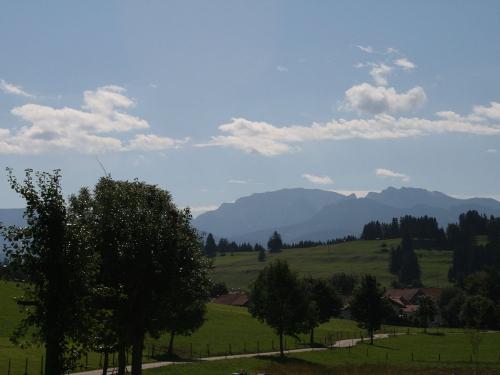 Weg zum Stall