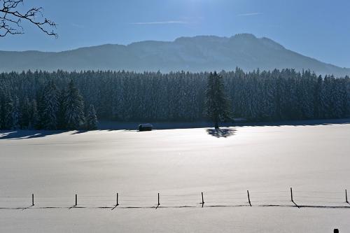ein herrlicher Winterspaziergang