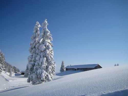 Winter auf der Alpspitze