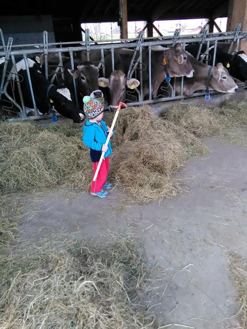 Kleine fleißige helfer im Stall