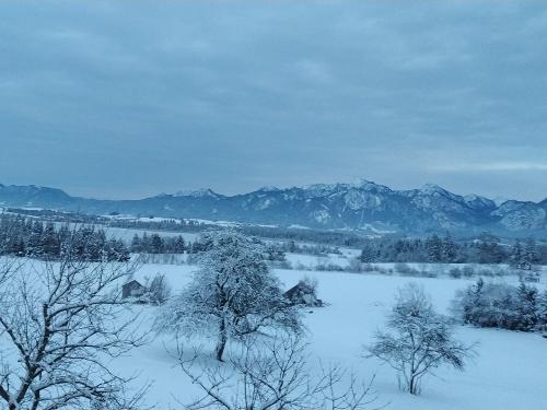 Winterlandschaft