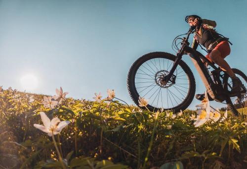 Bikeparadies