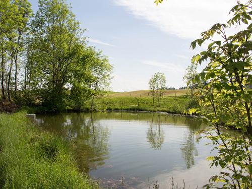 Weiher - 150m vom Haus entfernt