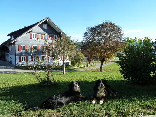 Bauernhaus mit Hofhunden Nala und Mila