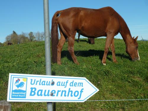 Urlaub auf dem Bauernhof