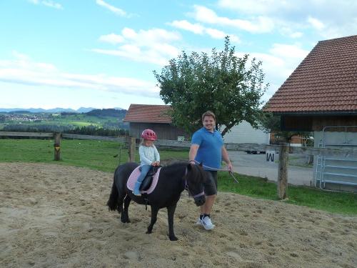 unsere Shettystute Holly