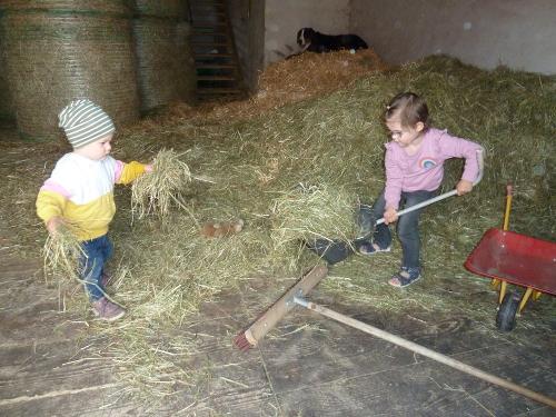 Stallhilfe