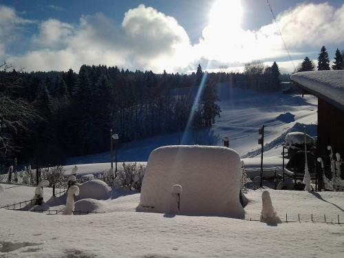 Winter-Wunder-Land