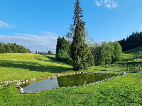 Unser Naturteich Unser Naturteich