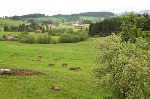 Unsere idyllische Lage