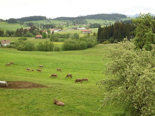 Unsere idyllische Lage