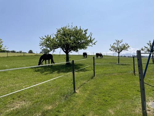 img_2444