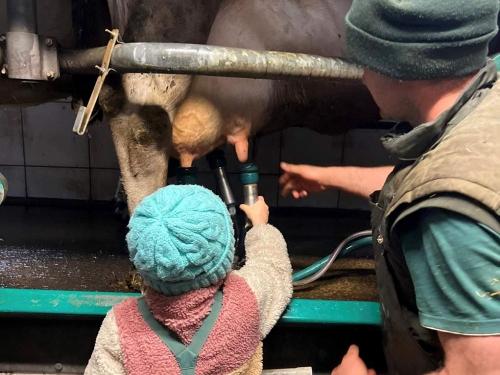 Mitten im Stall  Ein Kind entdeckt echte Landwirtschaft hautnah.