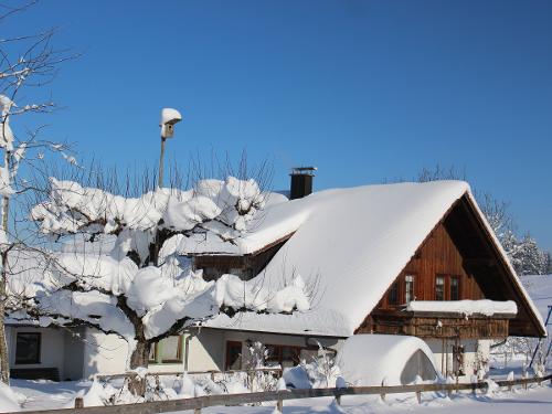 Im Winter ist unser Hof eine Mischung aus Märchenland und Familien Abenteuer.