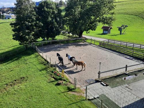Reitplatz Reitplatz