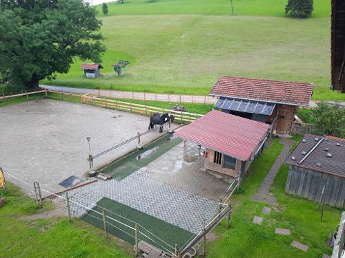 Reitplatz Reitplatz
