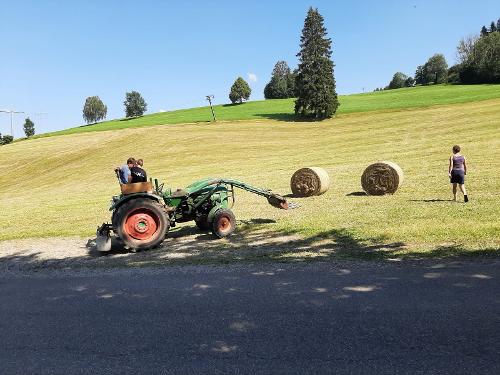 Feld Feld