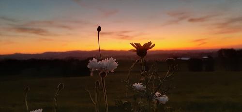 Abendstimmung