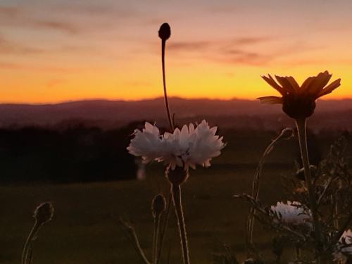 Abendstimmung Abendstimmung