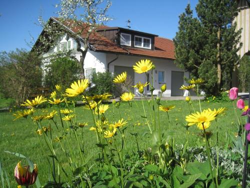 Ferienhaus
