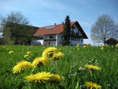 Hof und Garten