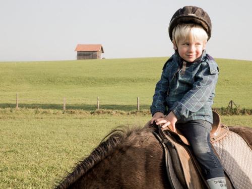 ponyreiten