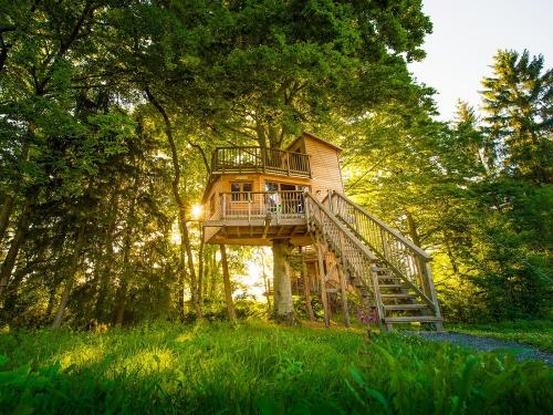 Premium Baumhaus