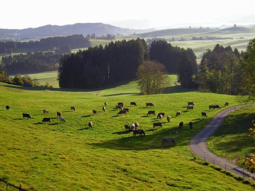 bilderm.herkommer021 bilderm.herkommer021