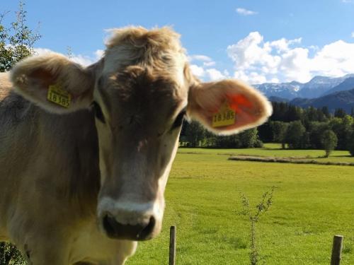 ca2b7d3e-9121-4414-a79c-af40d11e8cb7 ca2b7d3e-9121-4414-a79c-af40d11e8cb7