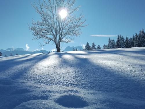 IMG_20231203_123245_MP IMG_20231203_123245_MP