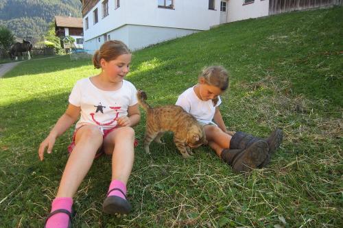 Unsere Katzen lieben Streicheleinheiten