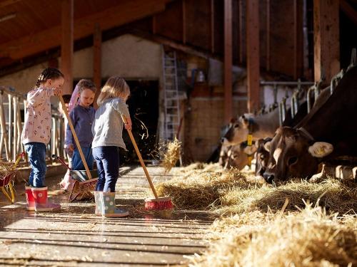 Stallarbeit macht Spaß