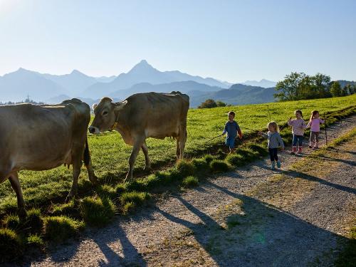gleich gibts frisches Gras