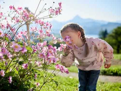 Die Blumen riechen gut.